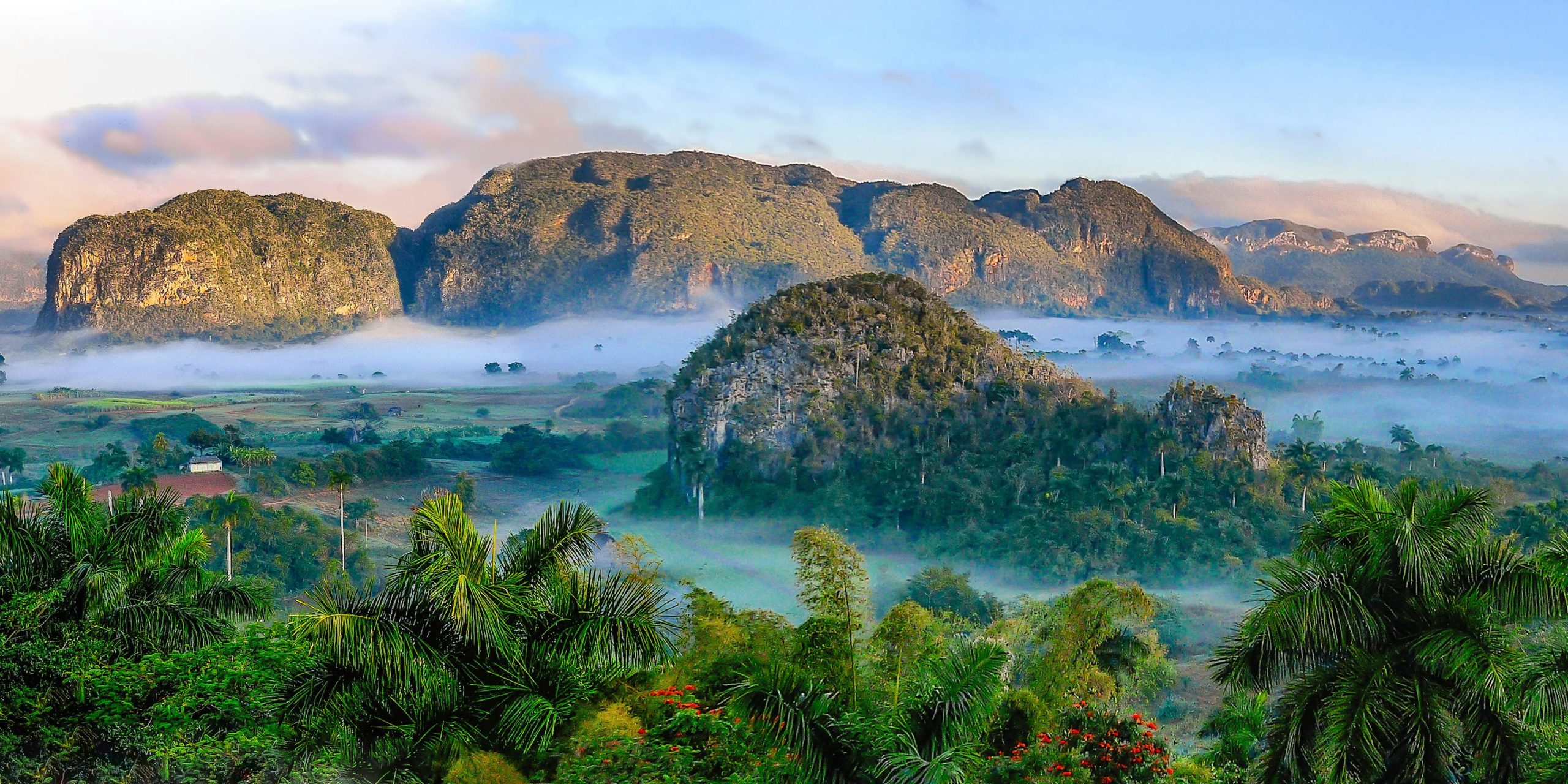kuba-pogled-suma-planina