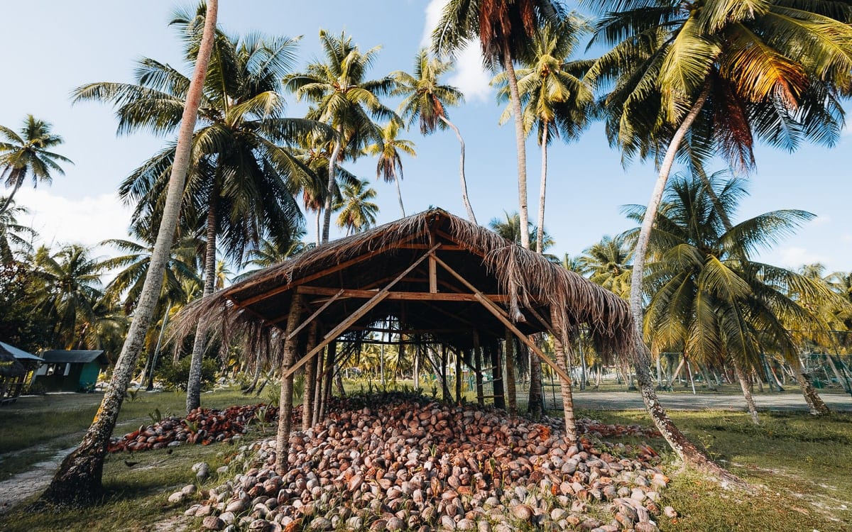 sejseli-l-union-estate-uzgoj-kokosa-farma-stara-plantaza