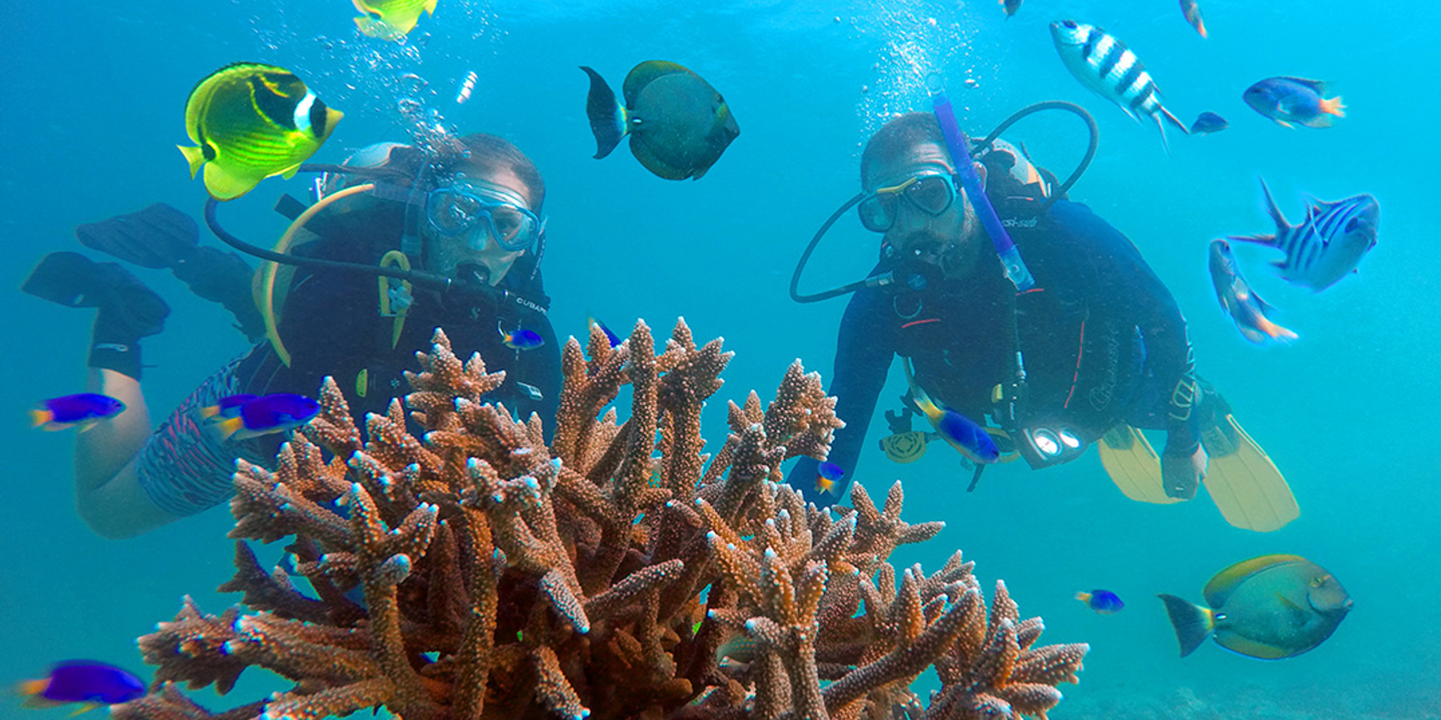 sejseli-ronjenje-cista voda-susret-s-zivotinjama-korali