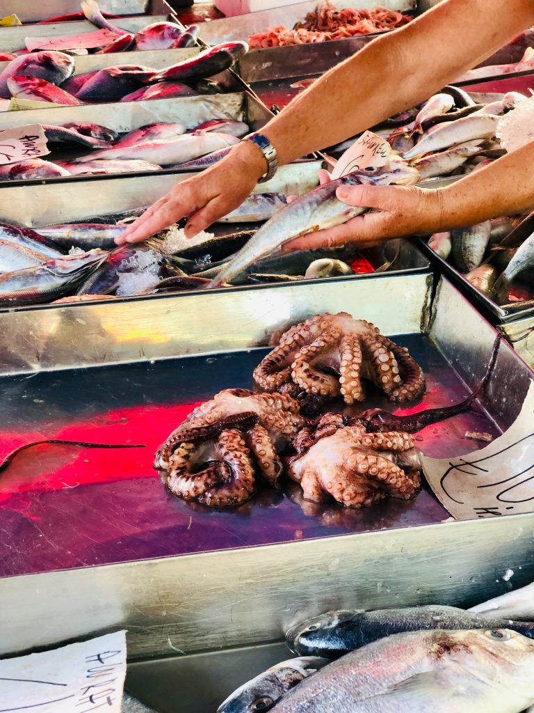 malta-riblja-pijaca-hodotnica