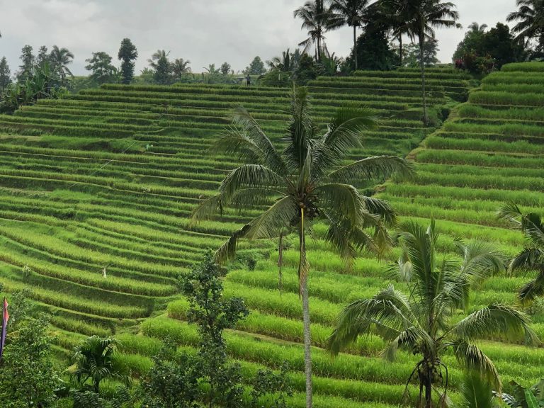 putovanje na bali, potopis i vodic
