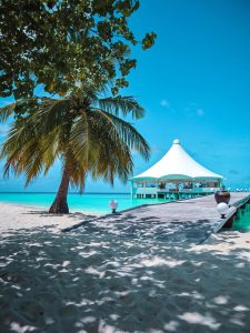 maldivi-plaza-baldahin-palma-plavo-nebo