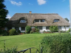 danska-stara-kuca-slamnati-krov-zelena-trava