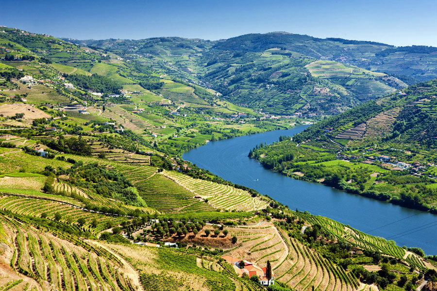 portugal-reka-douro-dolina-vinogradi-na-padinama-zelenilo-plavo-nebo