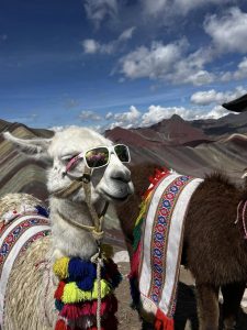 peru-lama-naocale-boje-etno-simboli
