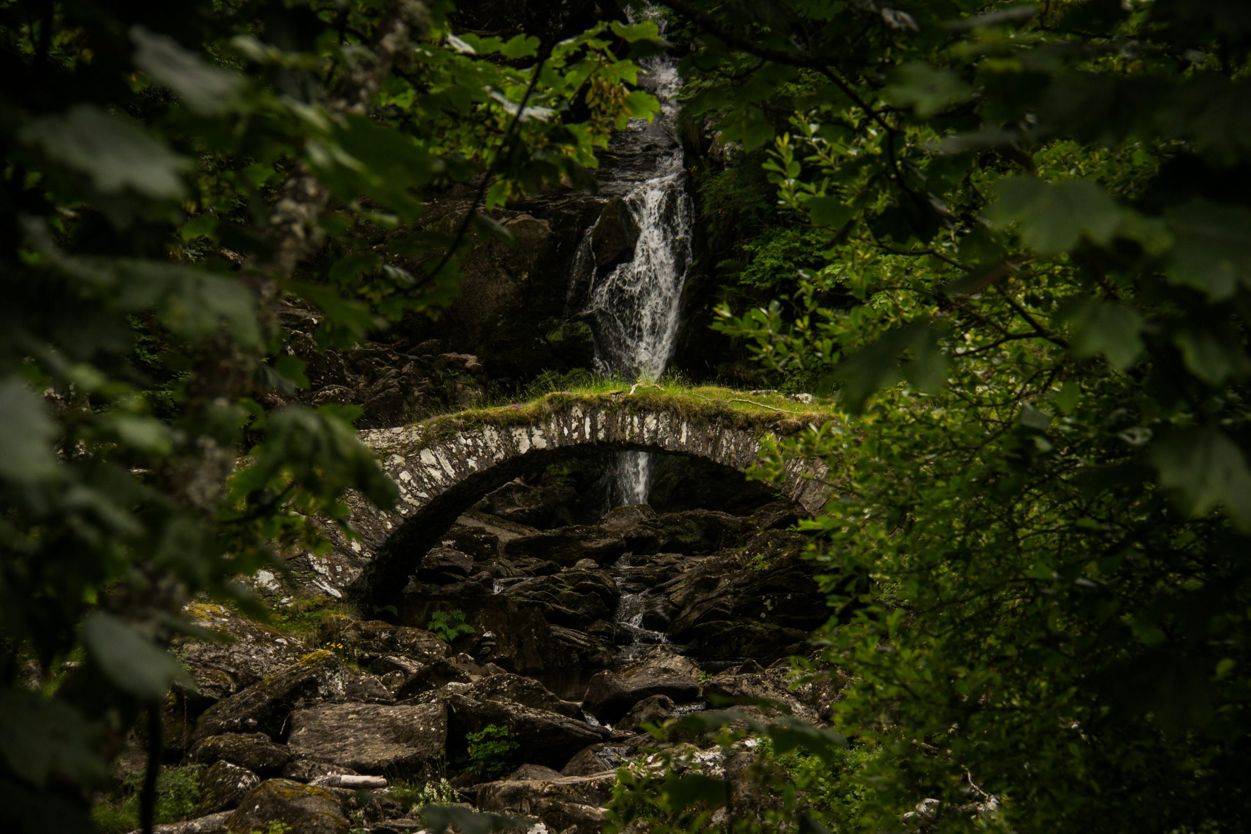 škotska-stari-kameni-most-u-prirodi-suma-zeleno